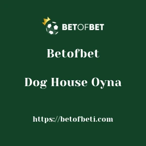 Betofbet Dog House Oyna